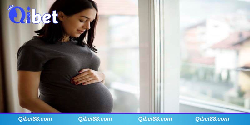 Giải mã mơ thấy có bầu đánh số mấy mang về tài lộc