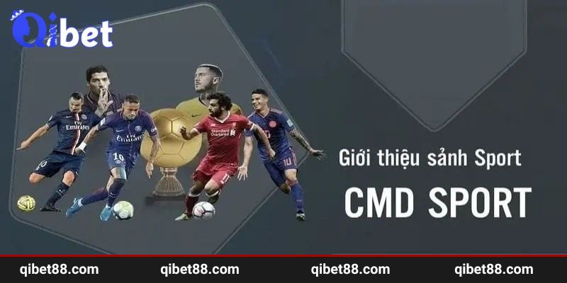 Đôi nét tìm hiểu cơ bản về sảnh CMD tại QIBET 