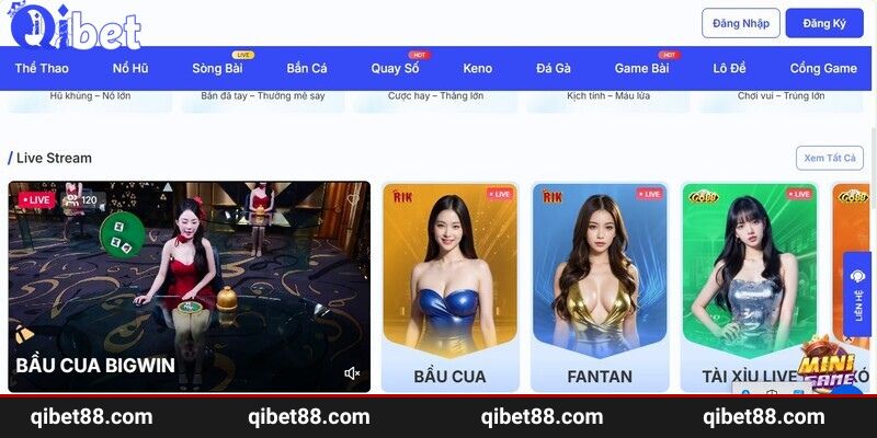 Lợi ích tuyệt vời mà bạn nhận được khi đăng nhập vào QIBET