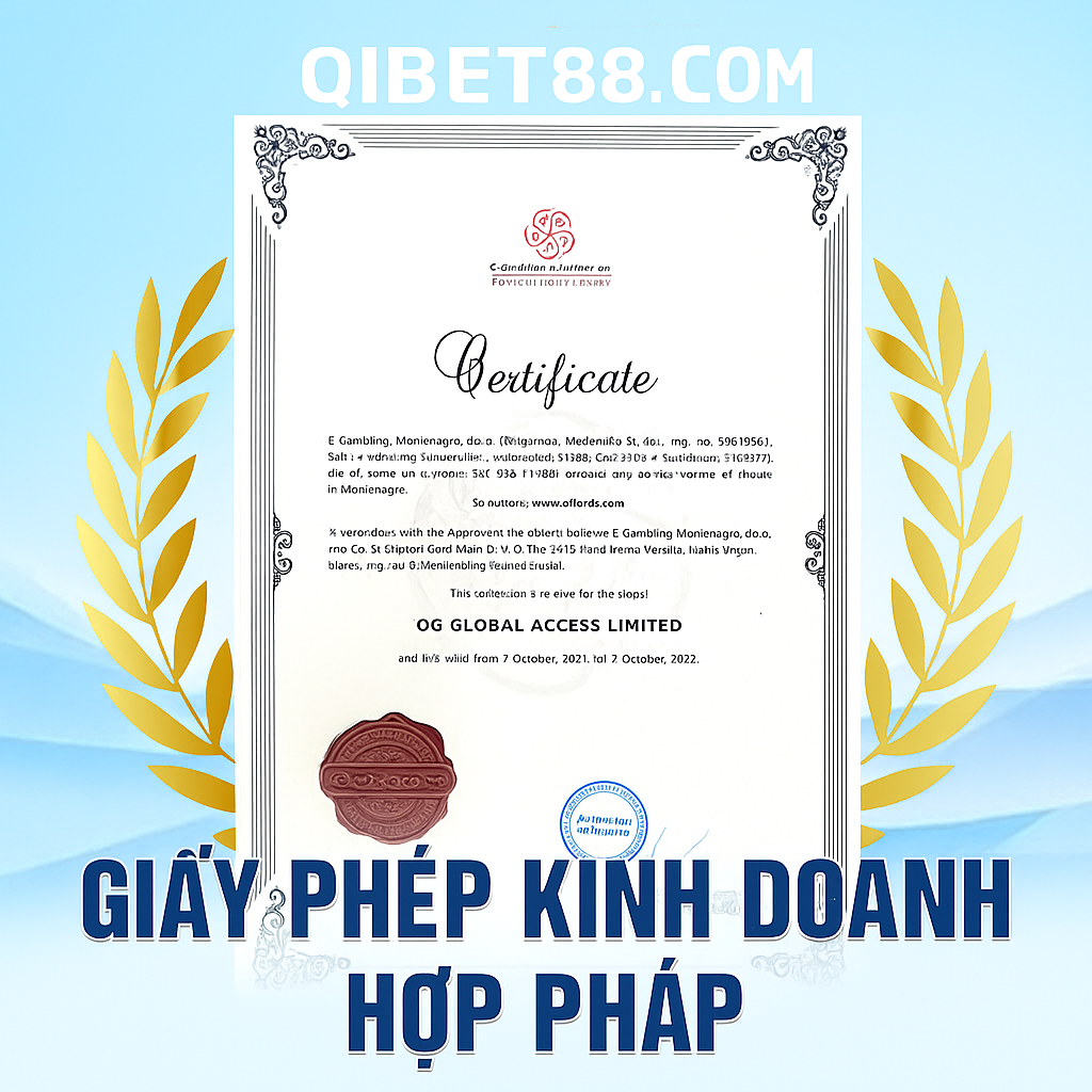 giay-phep-hoat-dong-qibet