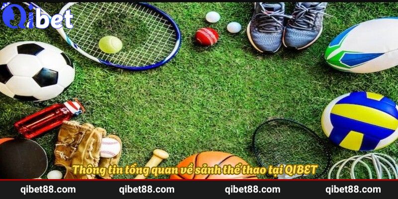 Thông tin tổng quan về sảnh thể thao tại QIBET