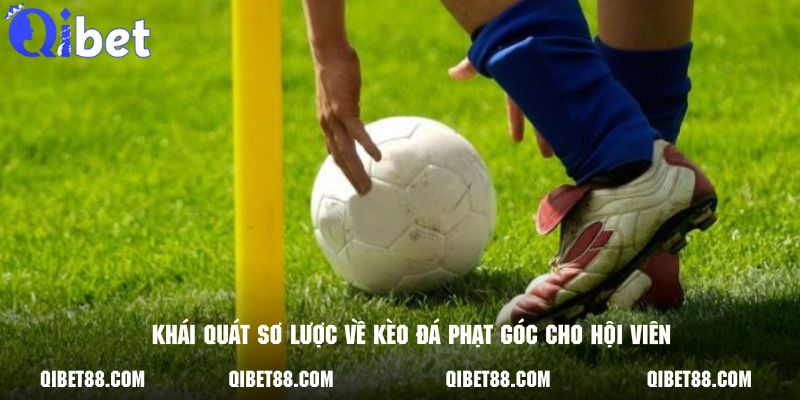 Khái quát sơ lược một vài nét căn bản về cược đá phạt góc