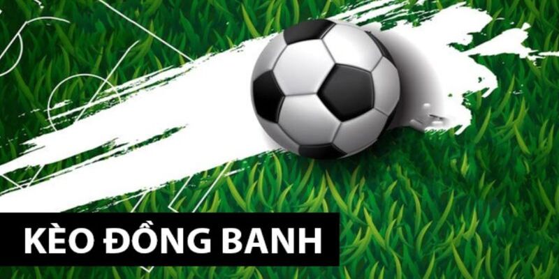 keo-dong-banh-qibet88