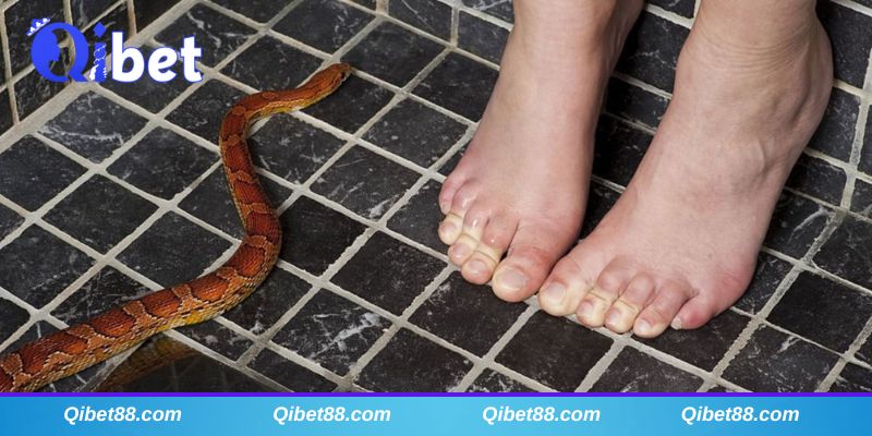 Mơ thấy rắn vào nhà nên đánh con lô đề gì?