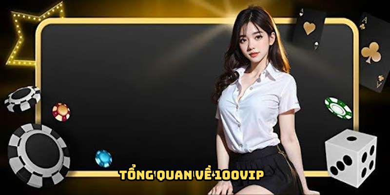 Thông tin cơ bản nhất về tập đoàn 100VIP