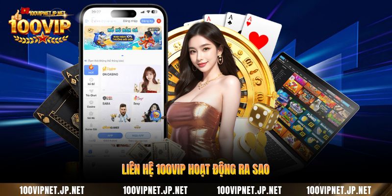 lien-he-100vip-hoat-dong-ra-sao