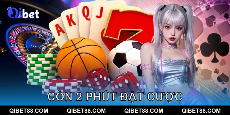 giao diện đặt cược đá gà trực tiếp trên điện thoại QIBET dễ dùng